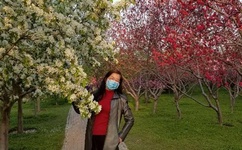 影音先锋熟女少妇AV资源